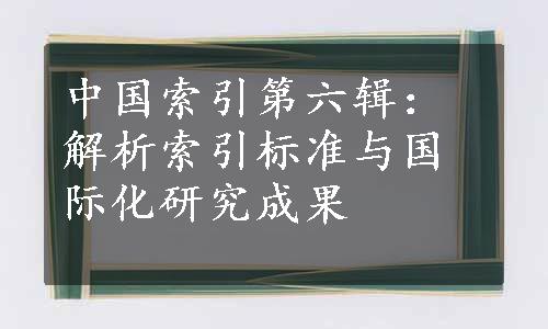 中国索引第六辑：解析索引标准与国际化研究成果