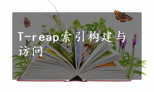 T-reap索引构建与访问