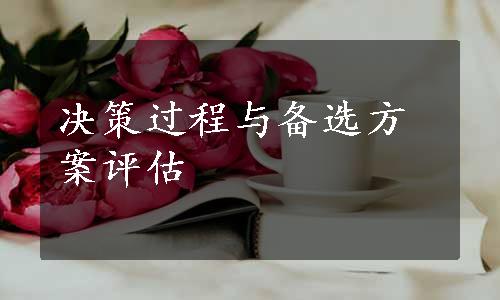 决策过程与备选方案评估