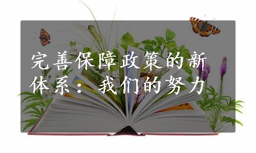 完善保障政策的新体系：我们的努力