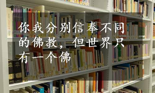 你我分别信奉不同的佛教，但世界只有一个佛