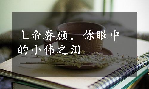 上帝眷顾，你眼中的小伟之泪