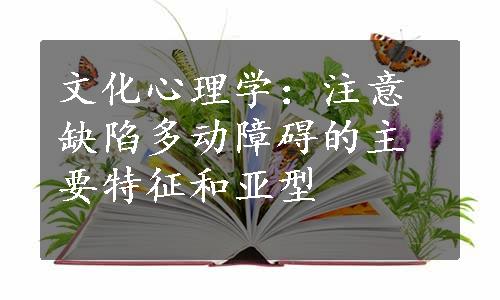 文化心理学：注意缺陷多动障碍的主要特征和亚型