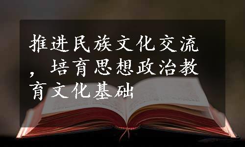 推进民族文化交流，培育思想政治教育文化基础