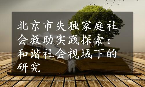 北京市失独家庭社会救助实践探索：和谐社会视域下的研究