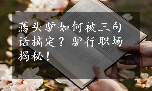 蔫头驴如何被三句话搞定？驴行职场揭秘！