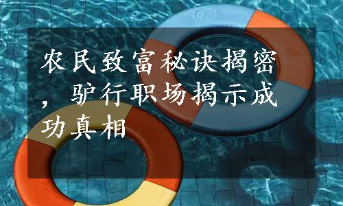 农民致富秘诀揭密，驴行职场揭示成功真相