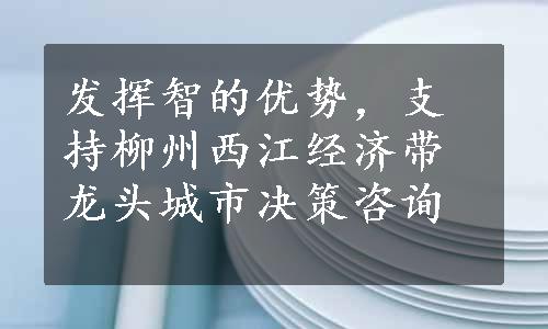 发挥智的优势，支持柳州西江经济带龙头城市决策咨询