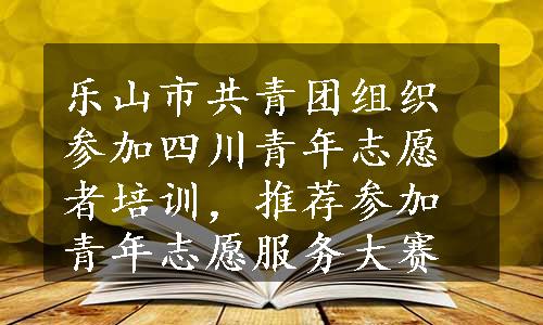 乐山市共青团组织参加四川青年志愿者培训，推荐参加青年志愿服务大赛