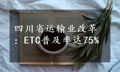 四川省运输业改革：ETC普及率达75%