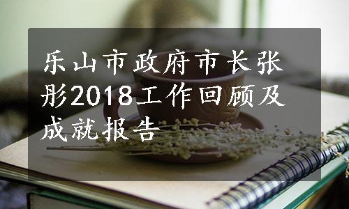 乐山市政府市长张彤2018工作回顾及成就报告