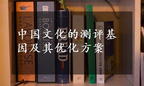 中国文化的测评基因及其优化方案