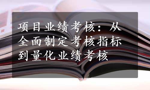 项目业绩考核：从全面制定考核指标到量化业绩考核