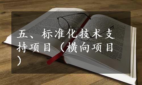 五、标准化技术支持项目（横向项目）