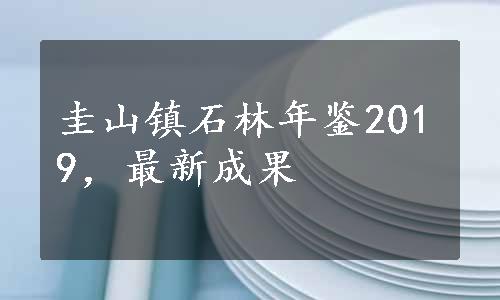 圭山镇石林年鉴2019，最新成果