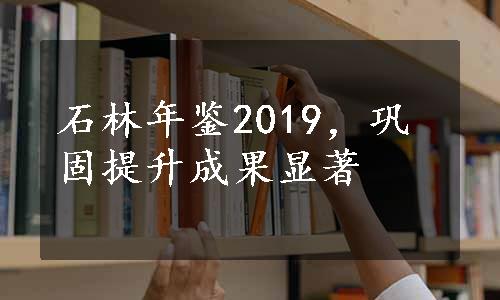 石林年鉴2019，巩固提升成果显著