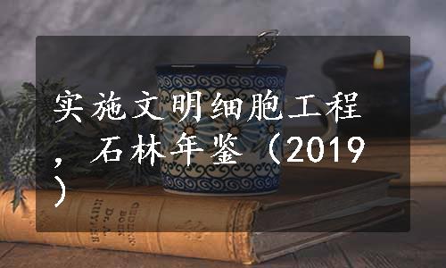 实施文明细胞工程，石林年鉴（2019）