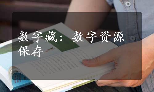 数字藏：数字资源保存