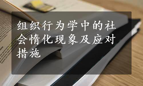 组织行为学中的社会惰化现象及应对措施