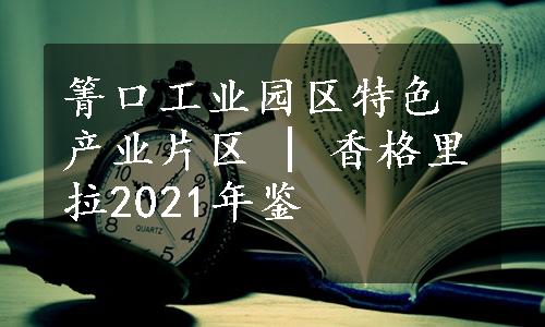 箐口工业园区特色产业片区 | 香格里拉2021年鉴