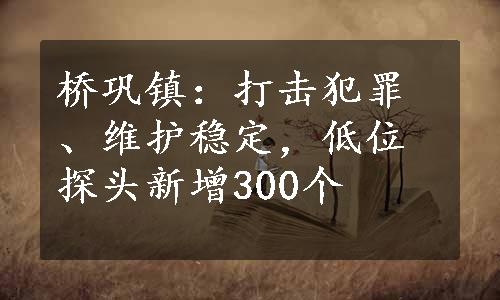 桥巩镇：打击犯罪、维护稳定，低位探头新增300个