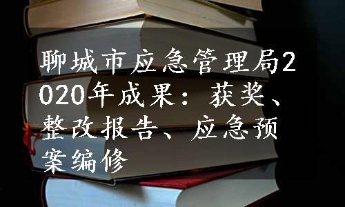 聊城市应急管理局2020年成果：获奖、整改报告、应急预案编修