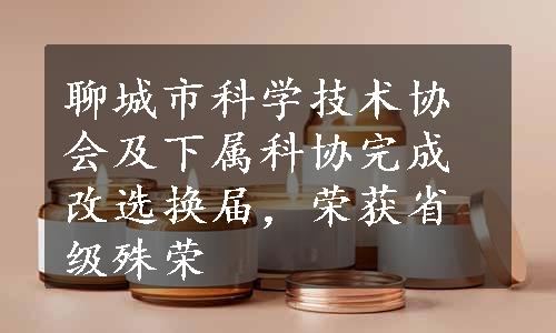 聊城市科学技术协会及下属科协完成改选换届，荣获省级殊荣