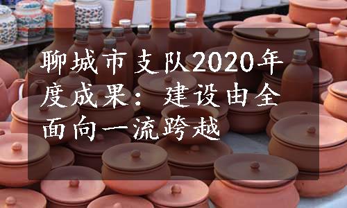 聊城市支队2020年度成果：建设由全面向一流跨越