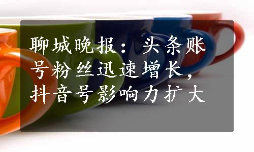 聊城晚报：头条账号粉丝迅速增长，抖音号影响力扩大