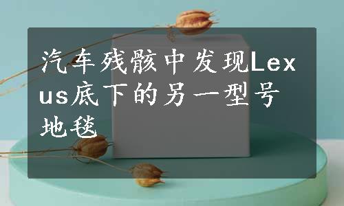 汽车残骸中发现Lexus底下的另一型号地毯