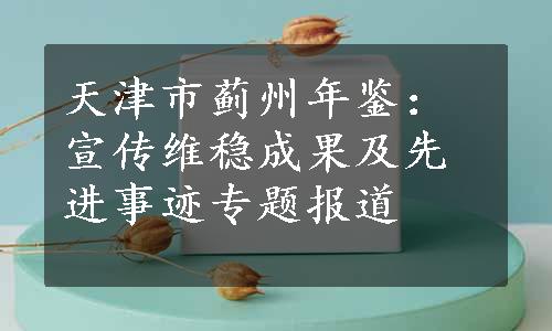 天津市蓟州年鉴：宣传维稳成果及先进事迹专题报道