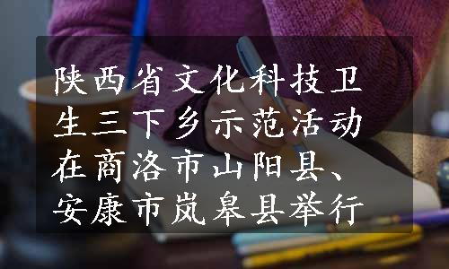 陕西省文化科技卫生三下乡示范活动在商洛市山阳县、安康市岚皋县举行