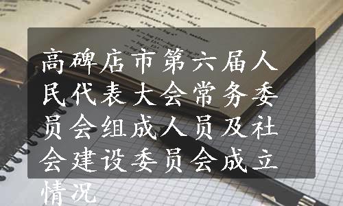 高碑店市第六届人民代表大会常务委员会组成人员及社会建设委员会成立情况