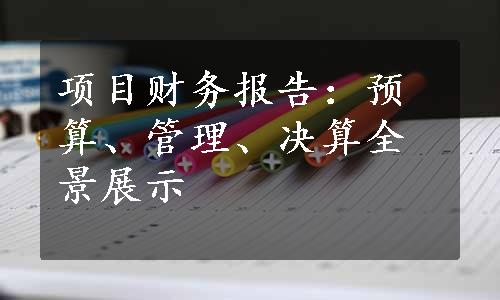 项目财务报告：预算、管理、决算全景展示