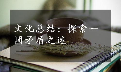 文化总结：探索一团矛盾之迷