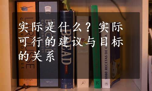 实际是什么？实际可行的建议与目标的关系