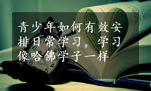 青少年如何有效安排日常学习，学习像哈佛学子一样