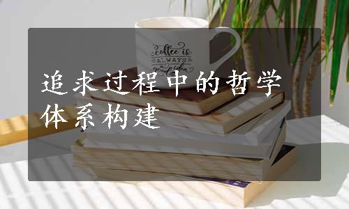 追求过程中的哲学体系构建