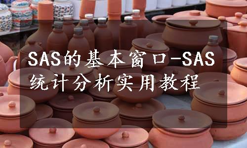 SAS的基本窗口-SAS统计分析实用教程