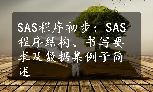 SAS程序初步：SAS程序结构、书写要求及数据集例子简述