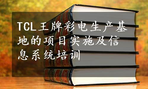 TCL王牌彩电生产基地的项目实施及信息系统培训