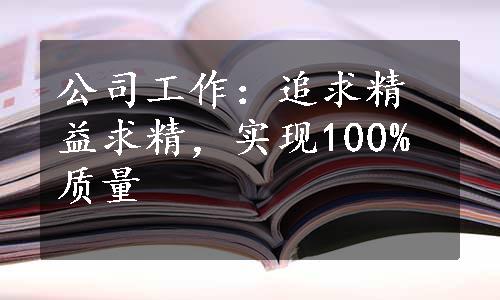 公司工作：追求精益求精，实现100%质量