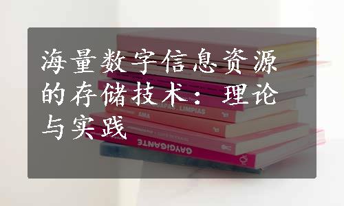 海量数字信息资源的存储技术：理论与实践