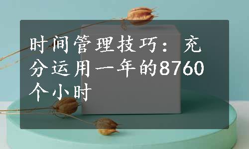 时间管理技巧：充分运用一年的8760个小时