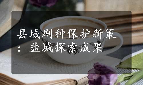 县域剧种保护新策：盐城探索成果