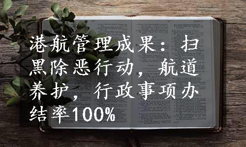 港航管理成果：扫黑除恶行动，航道养护，行政事项办结率100%