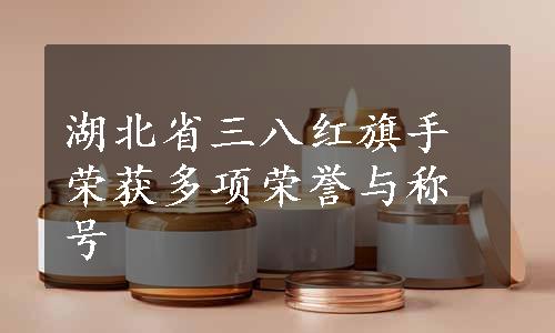 湖北省三八红旗手荣获多项荣誉与称号