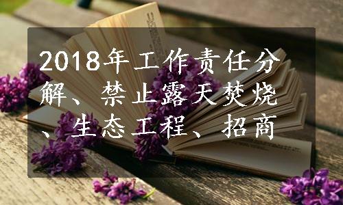 2018年工作责任分解、禁止露天焚烧、生态工程、招商