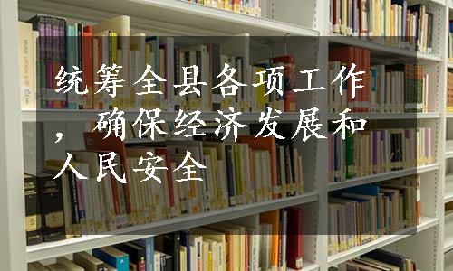 统筹全县各项工作，确保经济发展和人民安全