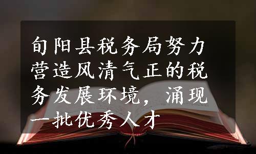 旬阳县税务局努力营造风清气正的税务发展环境，涌现一批优秀人才